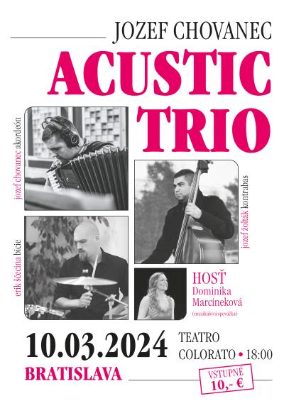 ACUSTIC TRIO