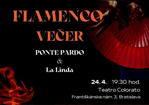 FLAMENCO VEČER