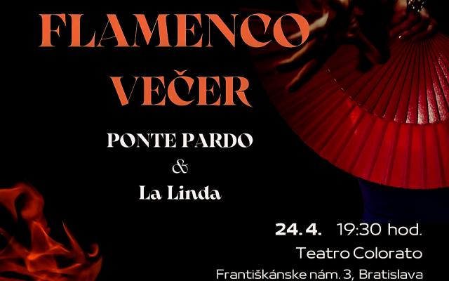 FLAMENCO VEČER